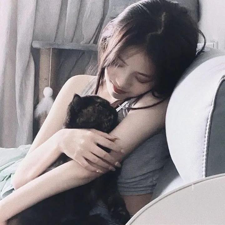 入侵者的晚宴